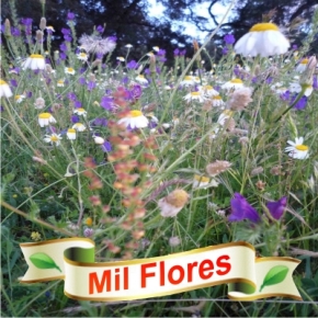 Milflores